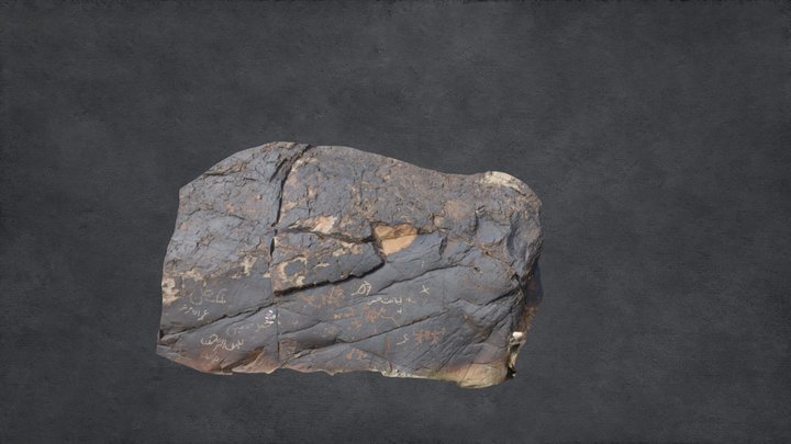 Rock Carving at Dadarbati Das (Rock 79) 3D Model