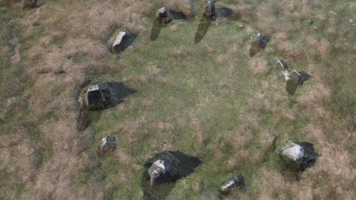 Birkrigg Common Stone Circle 3D Model