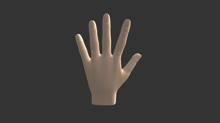Modelado Mano Humana 3D Model