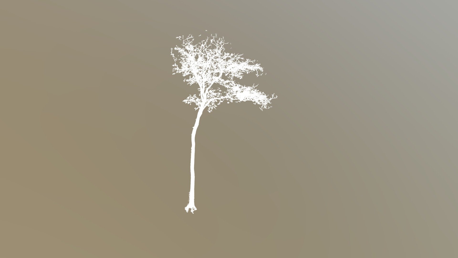 AEP33-tree_103.wood.ply