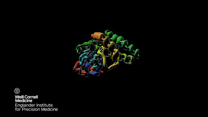 Protein Structure | PDB ID 1NFN1 3D Model