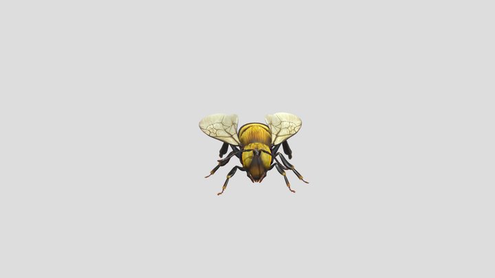 Bee BEE ANIMALS 3D Model