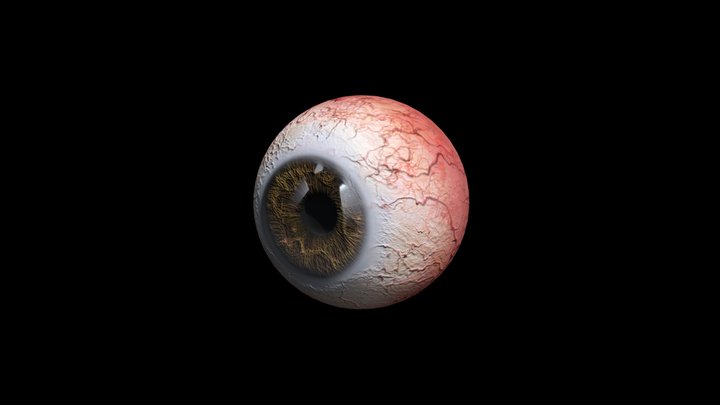 Eyeball 3D Model