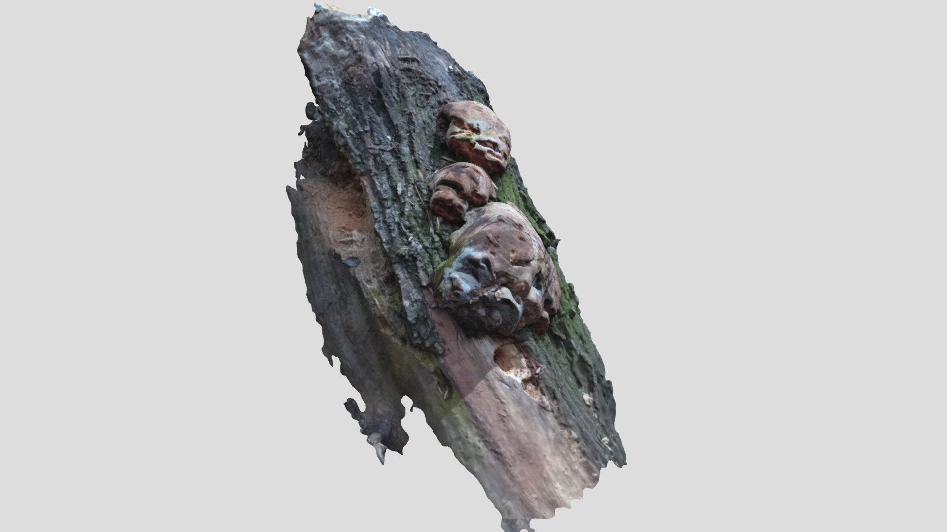 000_sje_091_simplified_3d_mesh - 3D model by takac.ondrej [6968ee0 ...