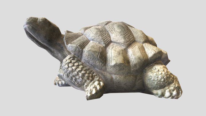 Turtle Statue – Free 3D Model STL