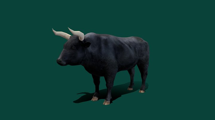 Spanish Bull Cattle Animal (Low Poly) 3D Model