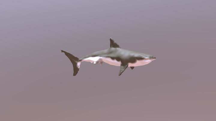Capt J Squirrel-3 2018-05-30 20-21-46 3D Model