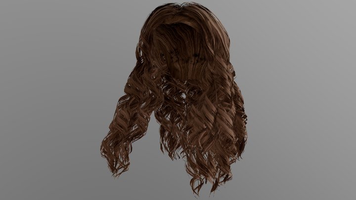 Long Curly Hair (Brown) 3D Model