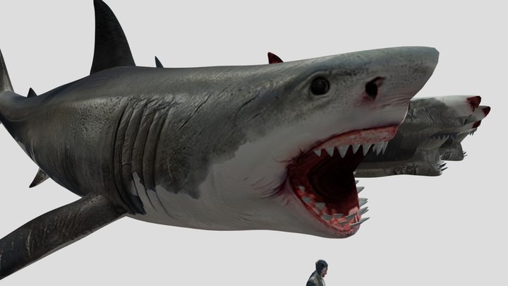 shark – Modello 3D gratuito STL