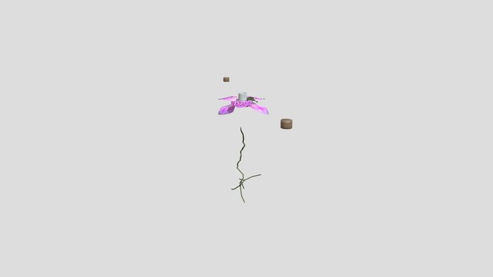Moth Purple Orchid On Concrete Pot – Modello 3D gratuito STL