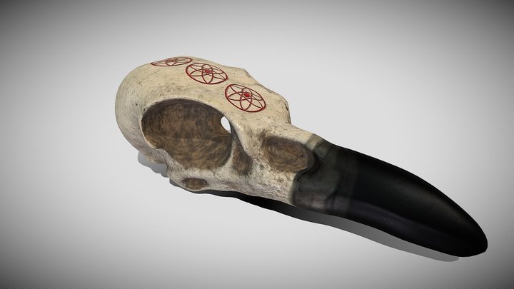 Raven Skull 3D Detailed model (Crâne de corbeau) 3D Model