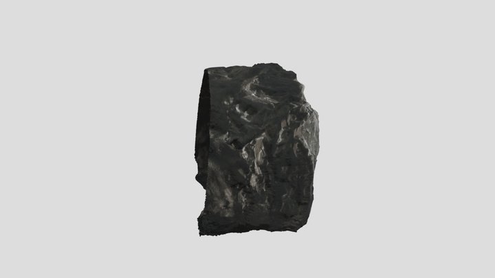 1 3D Model