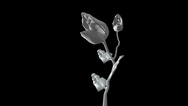 Venus Fly Trap 3D Model