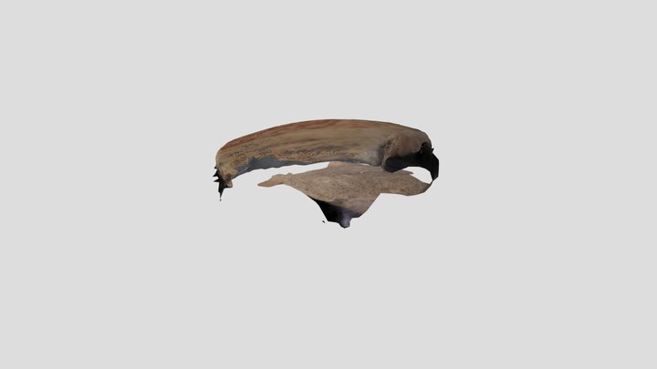 Maya Artifact 3D Model