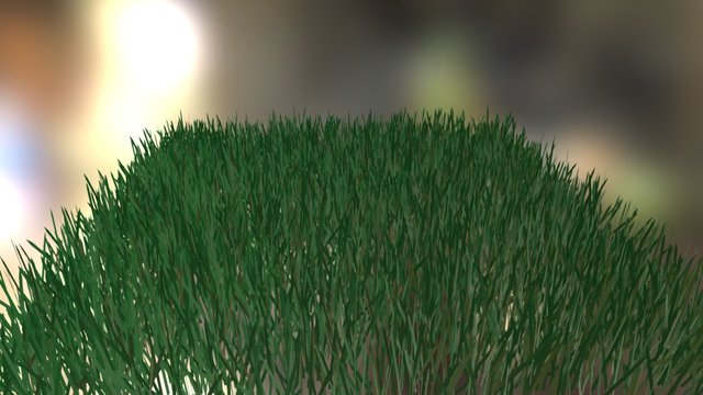 Grass Test 3 3D Model