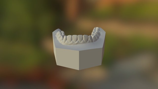 Mandibulary Export 3D Model