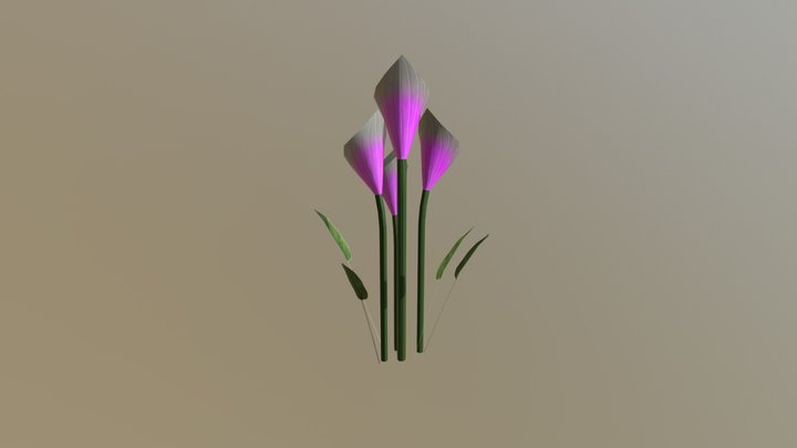 Lillies 3D Model