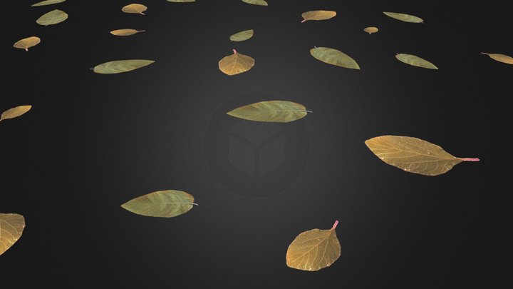 Leaf Ground 0002 3D Model