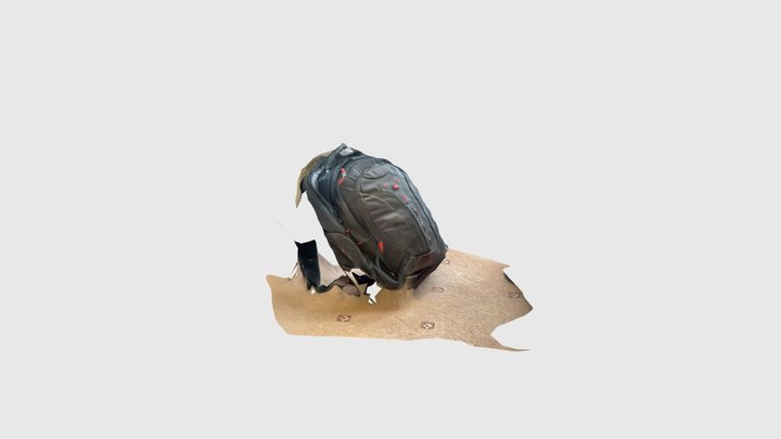Backpack 3D Model