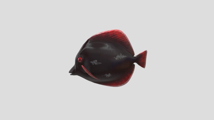 Redhaze Fish 3D Model