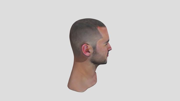 Face Man test 3D Model
