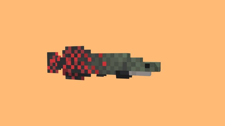 Arapaima