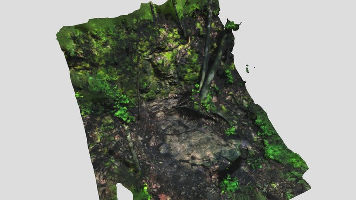 Rock Wall 3D Model