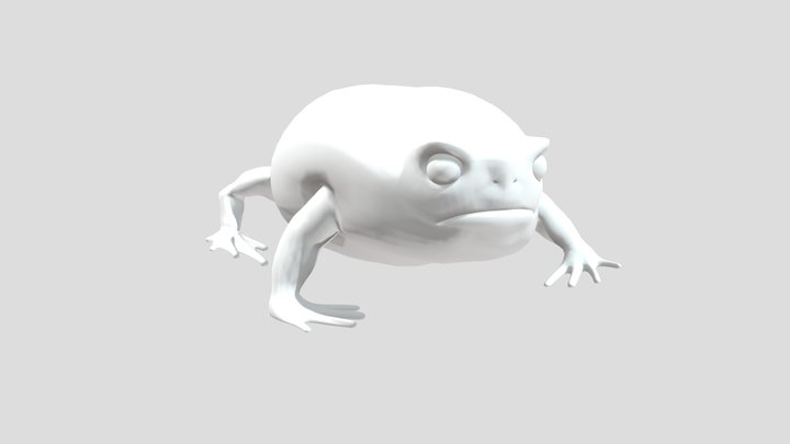 Rain Frog 3D Model