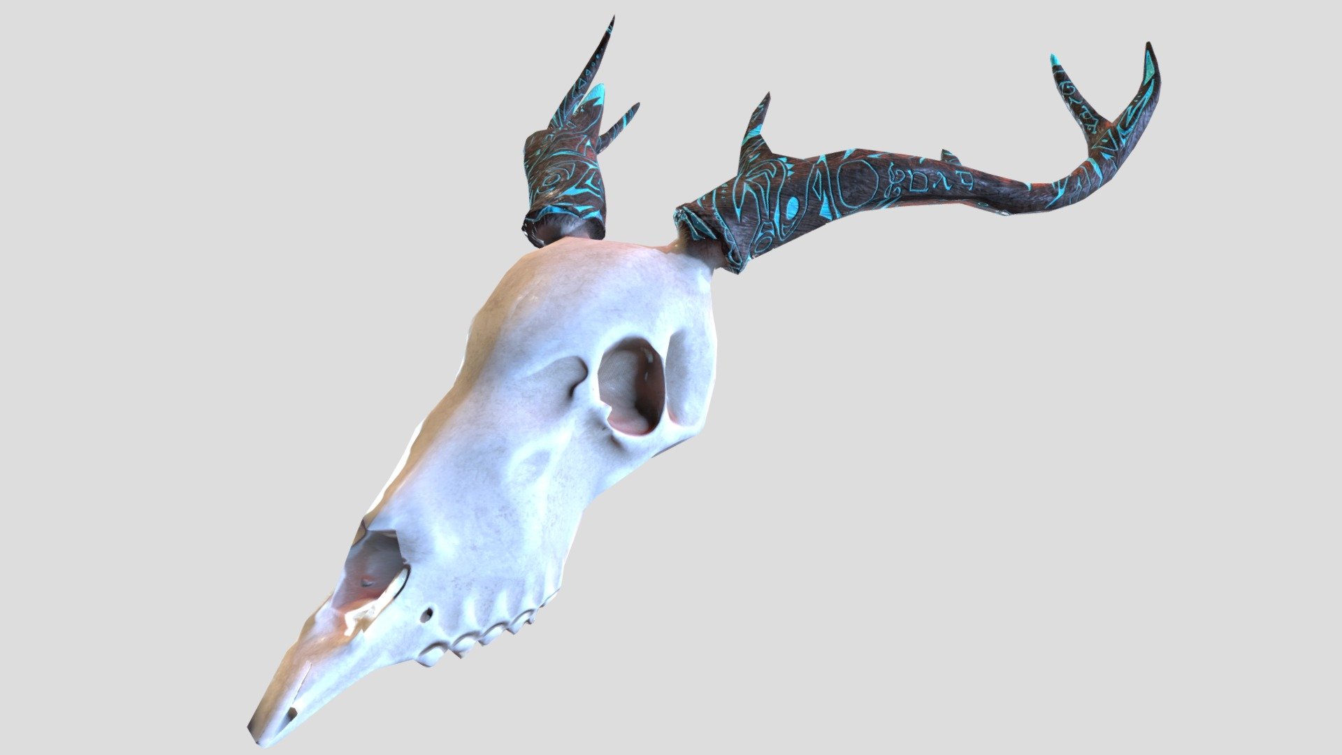 Deer skull - Download Free 3D model by NyanDiaCat [698975c] - Sketchfab