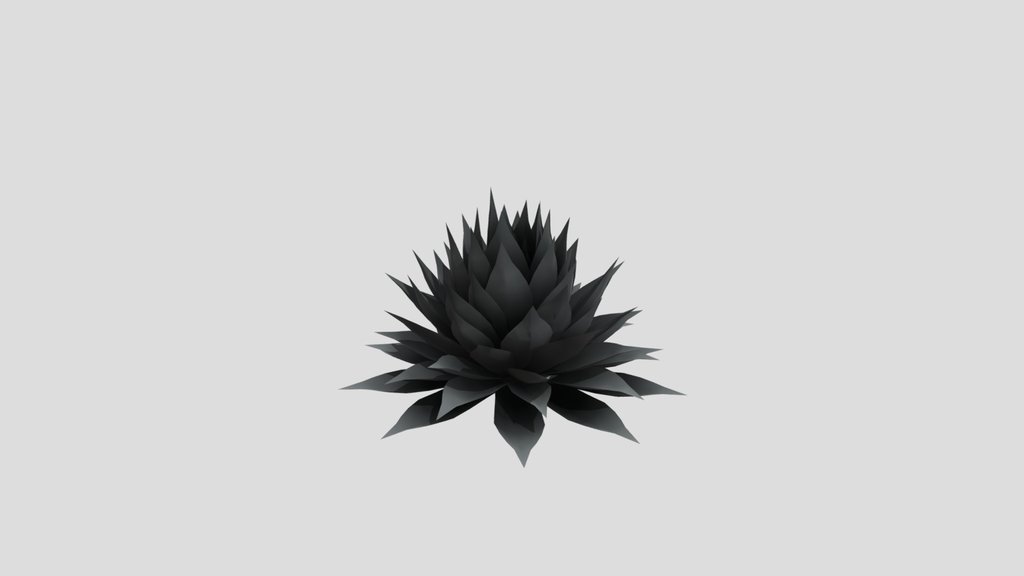 Plant Agave Parryi Medium