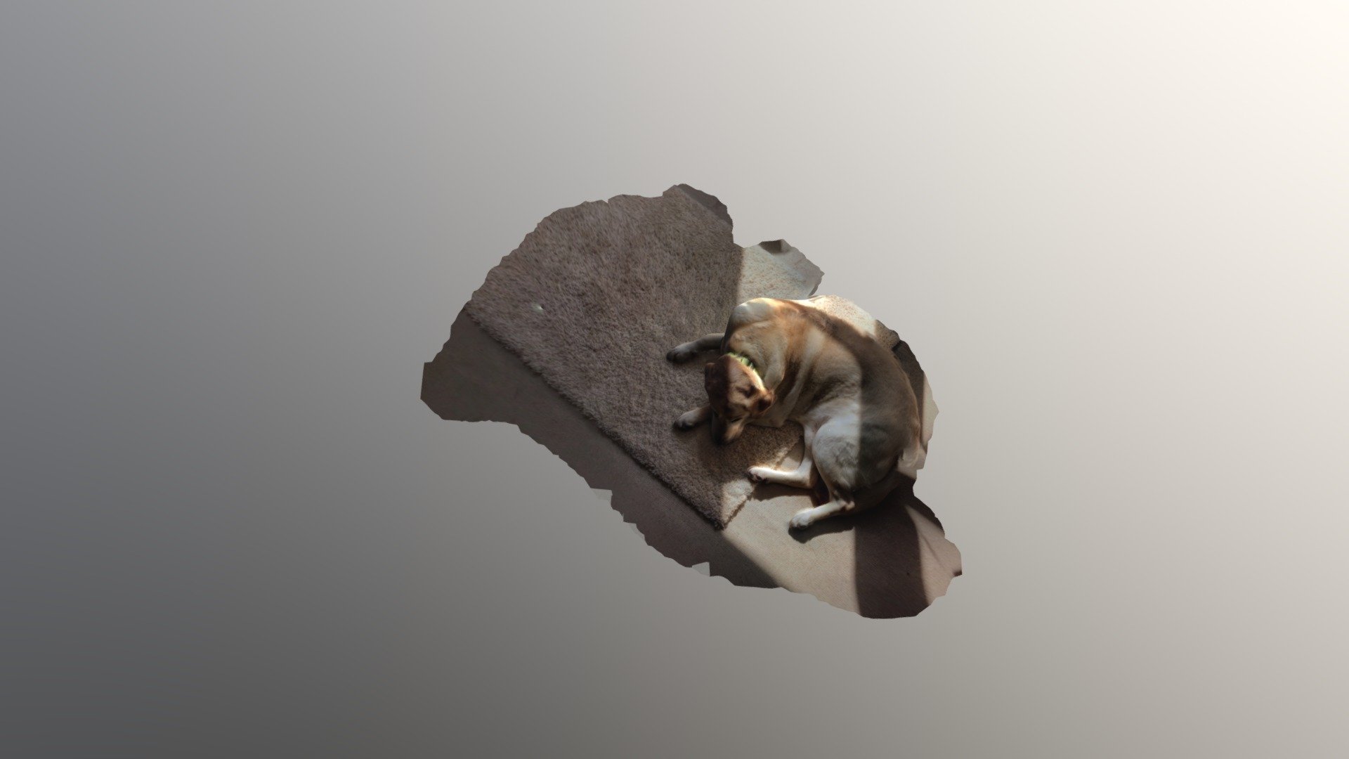 A TRNIO Model