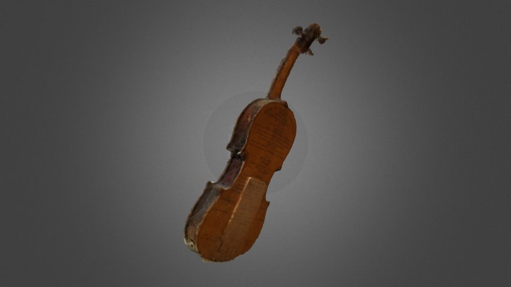 Violin