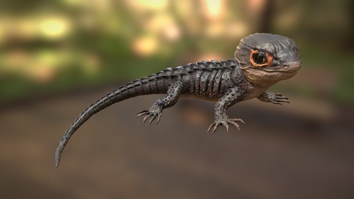 Crocodile Skink 3D Model