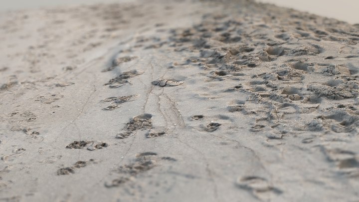 Sandy beach on Rügen / RealityScan 3D Model