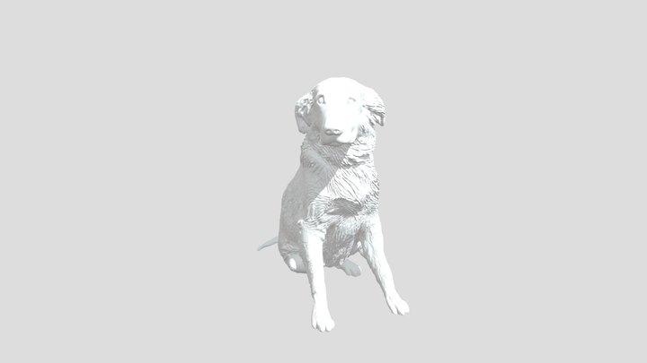 Retriever – Free 3D Model STL
