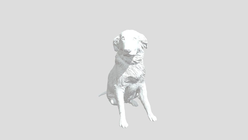 Retriever