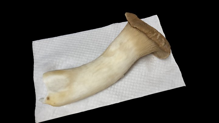 Eringi mushroom (2) 3D Model