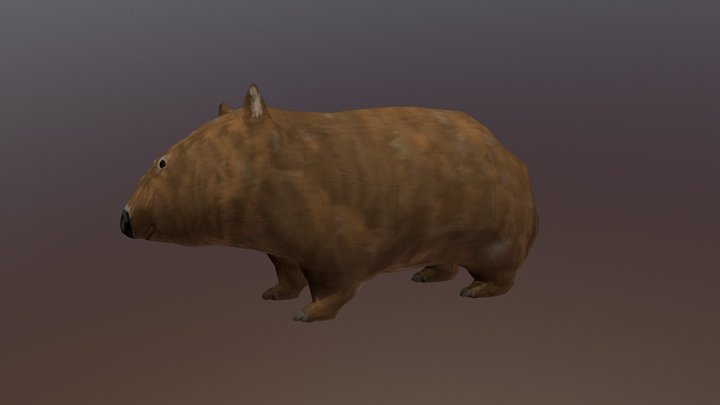 Wombat 3D Model