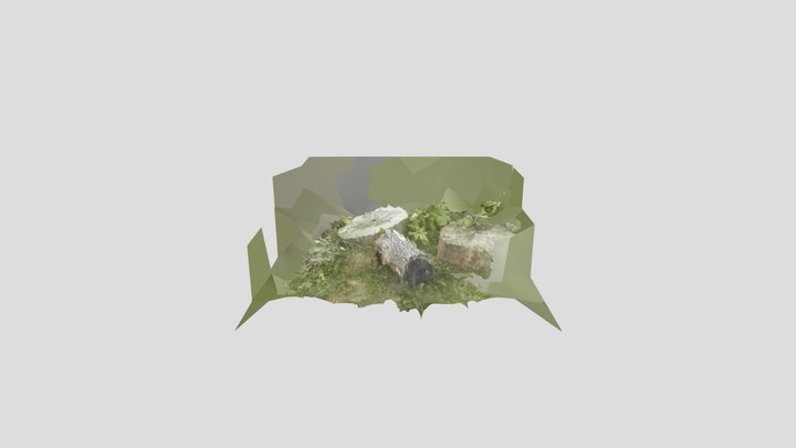 Brevno  3 3D Model