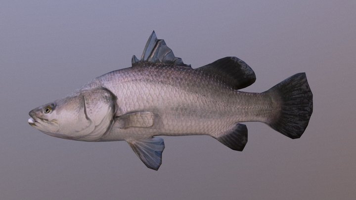 Barramundi fish on Craiyon