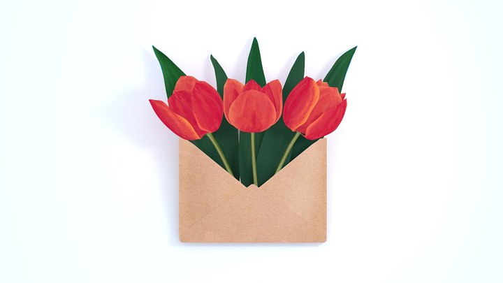 Tulips