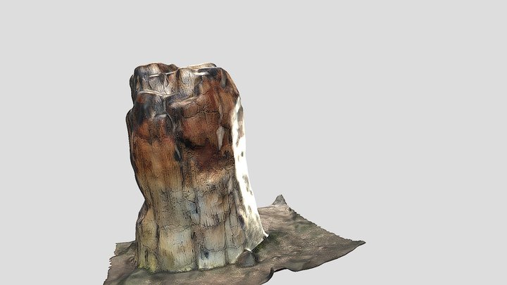 PETRIFIED TREE TUNK No81 3D Model
