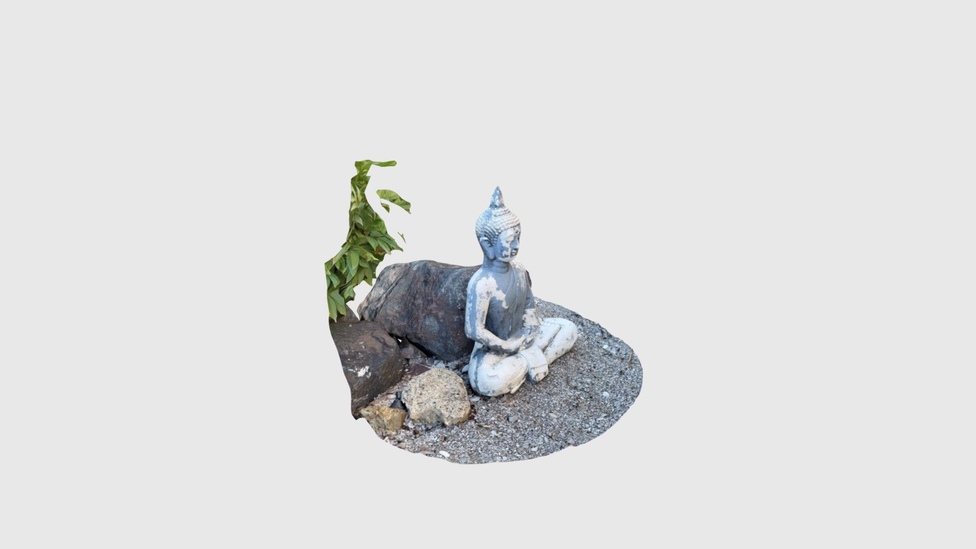 Budha