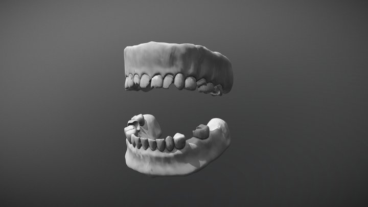 Rotten 3D Model
