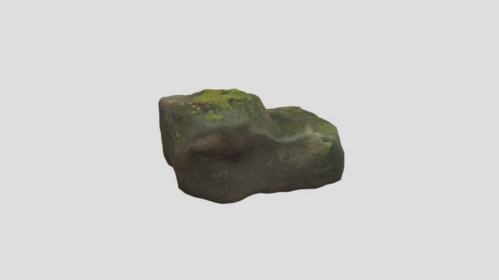 Rock New 3D Model