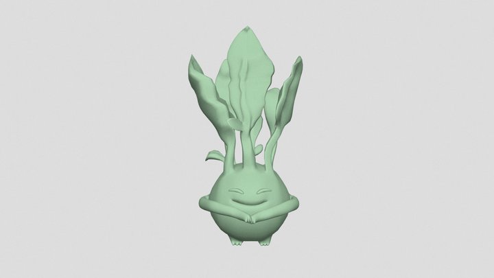 Cabbage Kid 3D Model