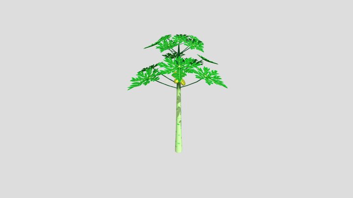 Pé de  Mamão 3D Model