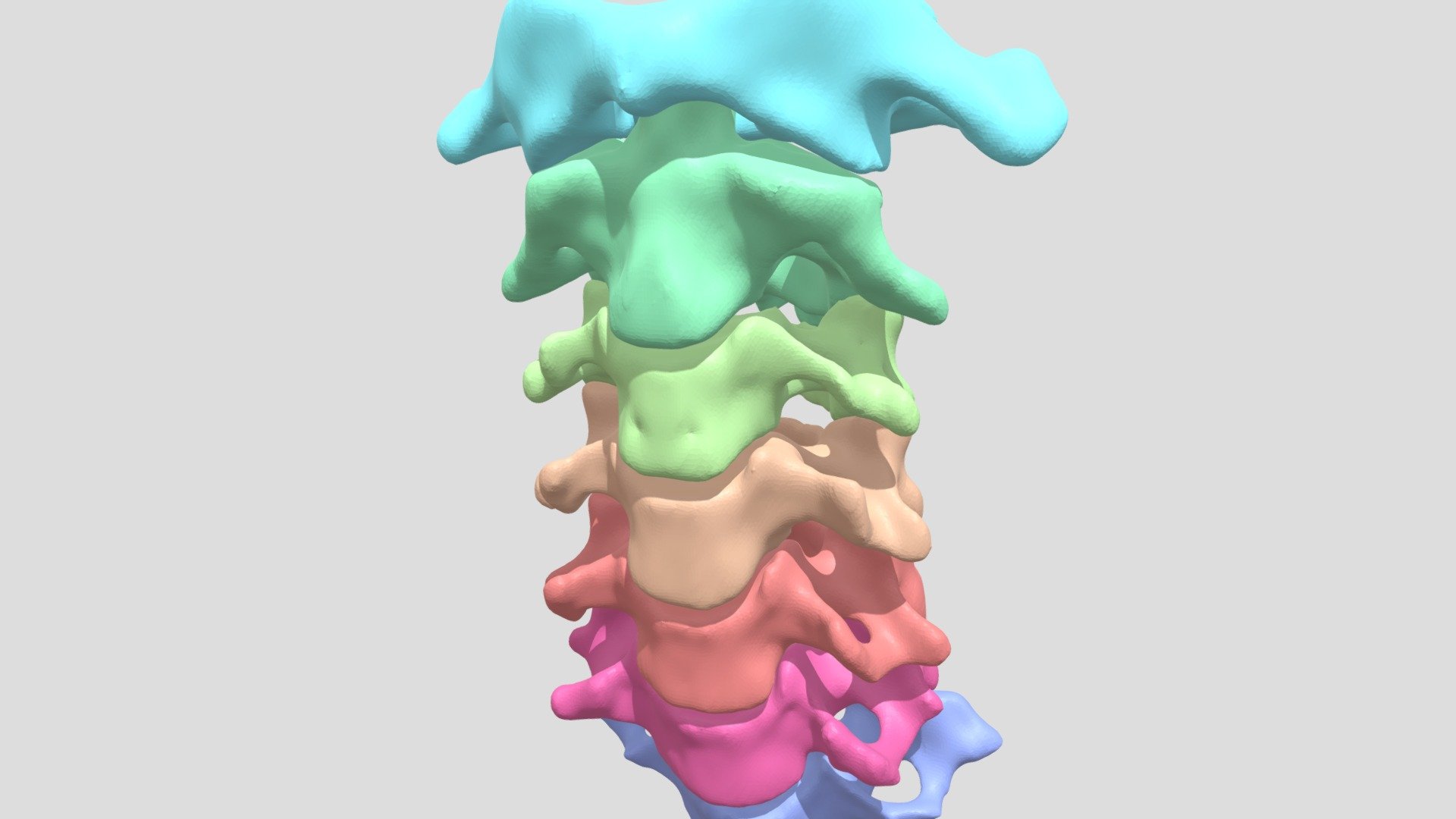COLUMNA CERVICAL - 3D model by Dr. David Frias (@David.Frias1) [69a1fd1 ...