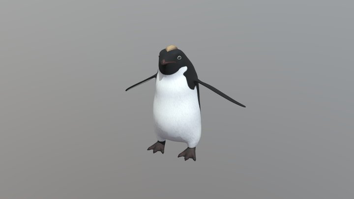 Adele_Penguin 3D Model