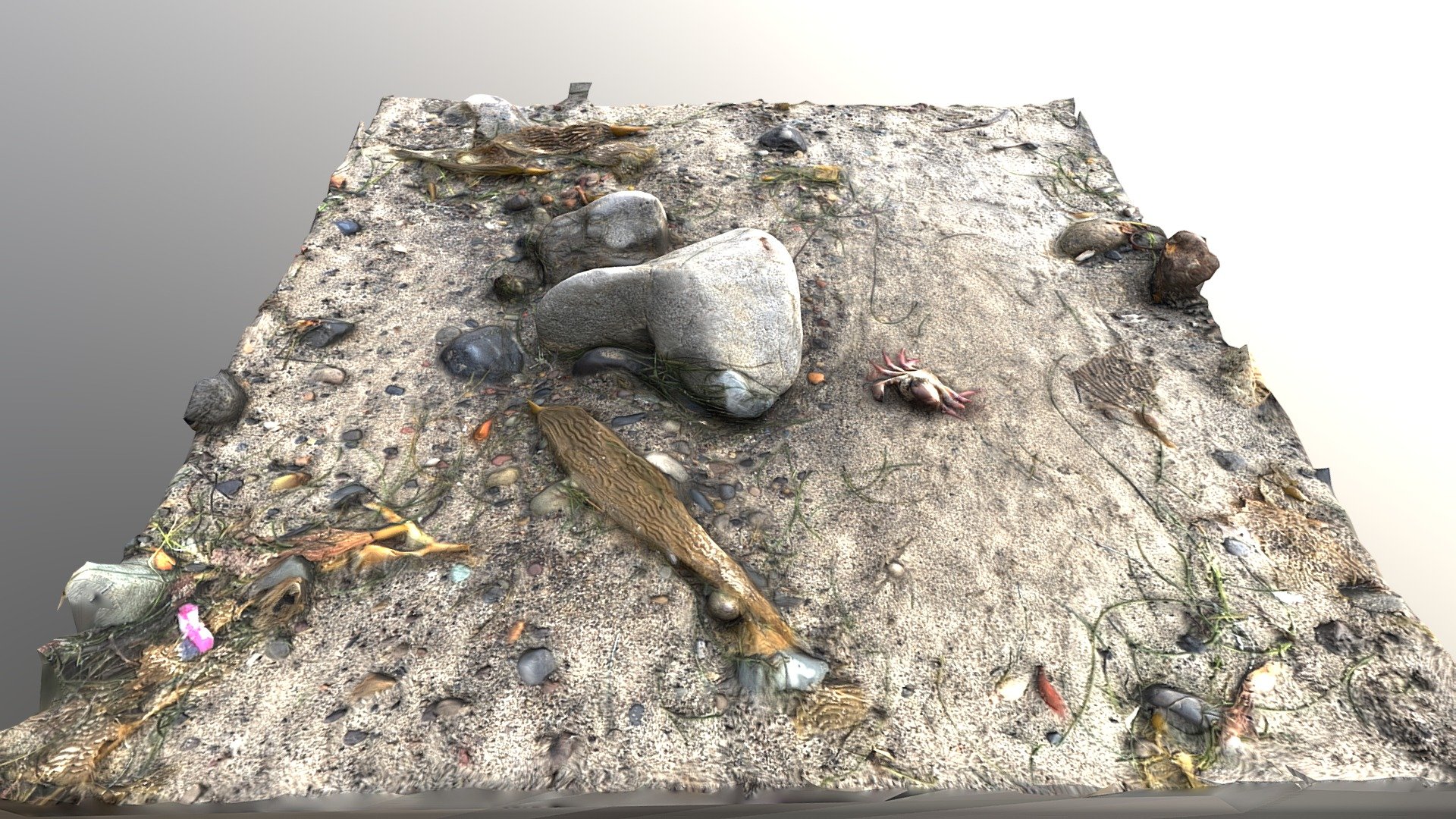 Crab Rock Scan